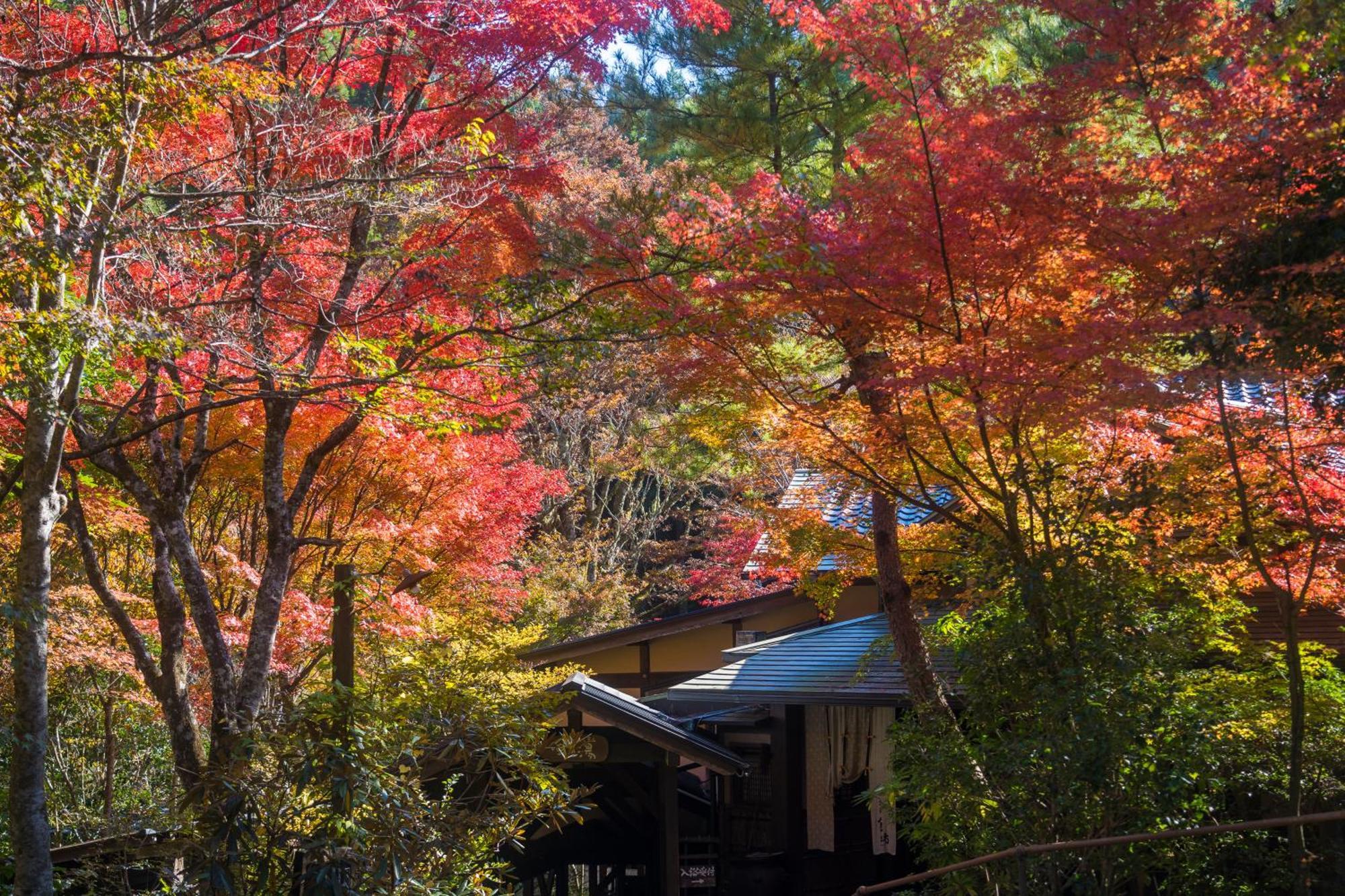 Oyado Hanabou Minamioguni Exterior photo